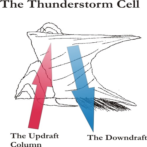 Thunderstorml2.jpg